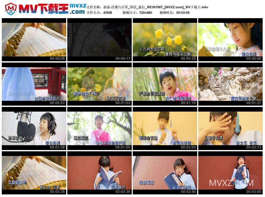 赵嘉-宫徵与百草_国语_流行_ME301567